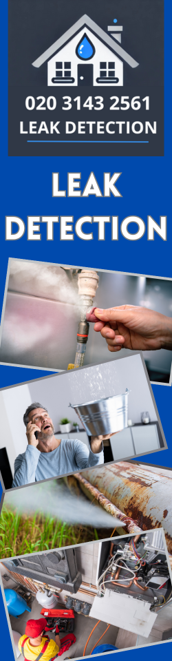 Creekmouth Leak Detection