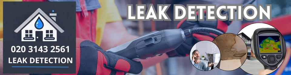 Creekmouth Leak Detection