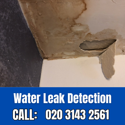 Expert Water Leak Detection Services in Creekmouth | Creekmouth Leak Detection